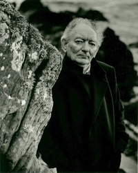 Brian Friel