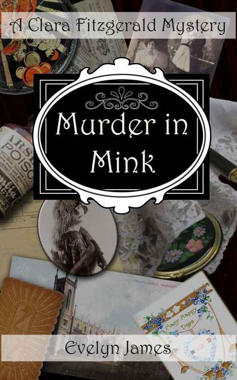 03 - Murder in Mink by Evelyn James