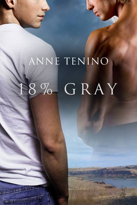 18% Gray by Anne Tenino