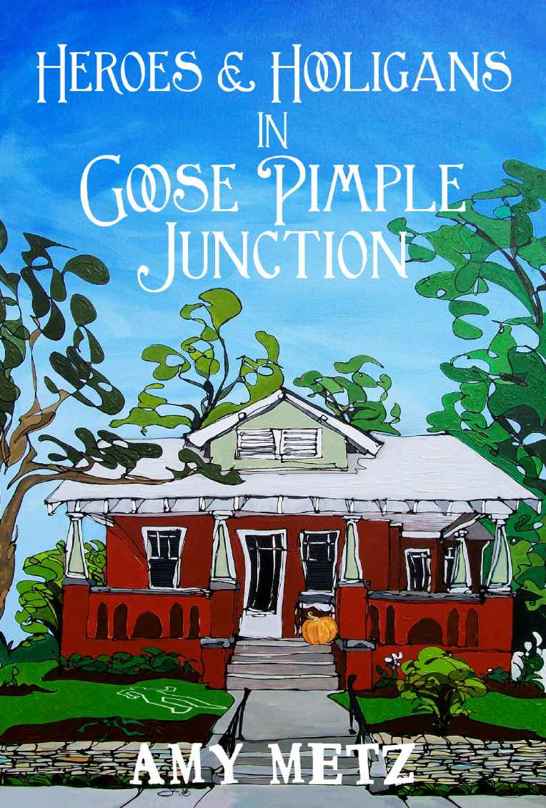 2 Heroes & Hooligans in Goose Pimple Junction by Amy Metz