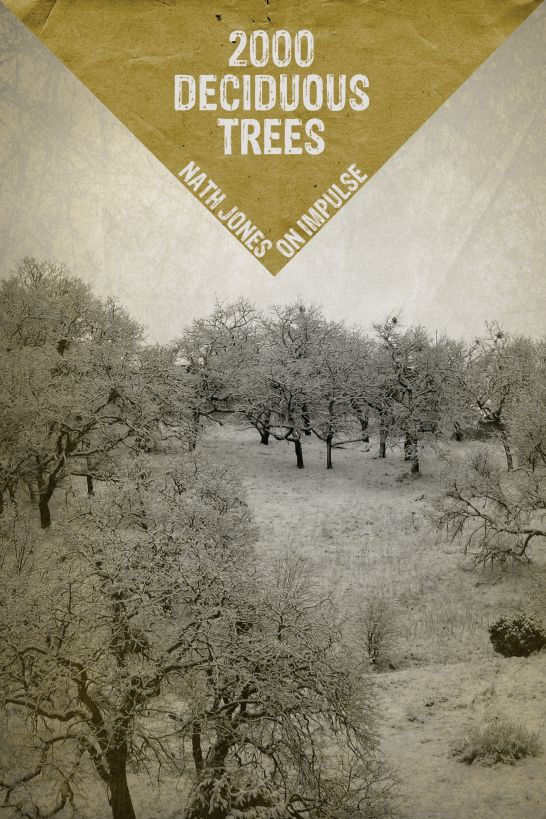 2000 Deciduous Trees : Memories of a Zine (9781937316051) by Jones, Nath