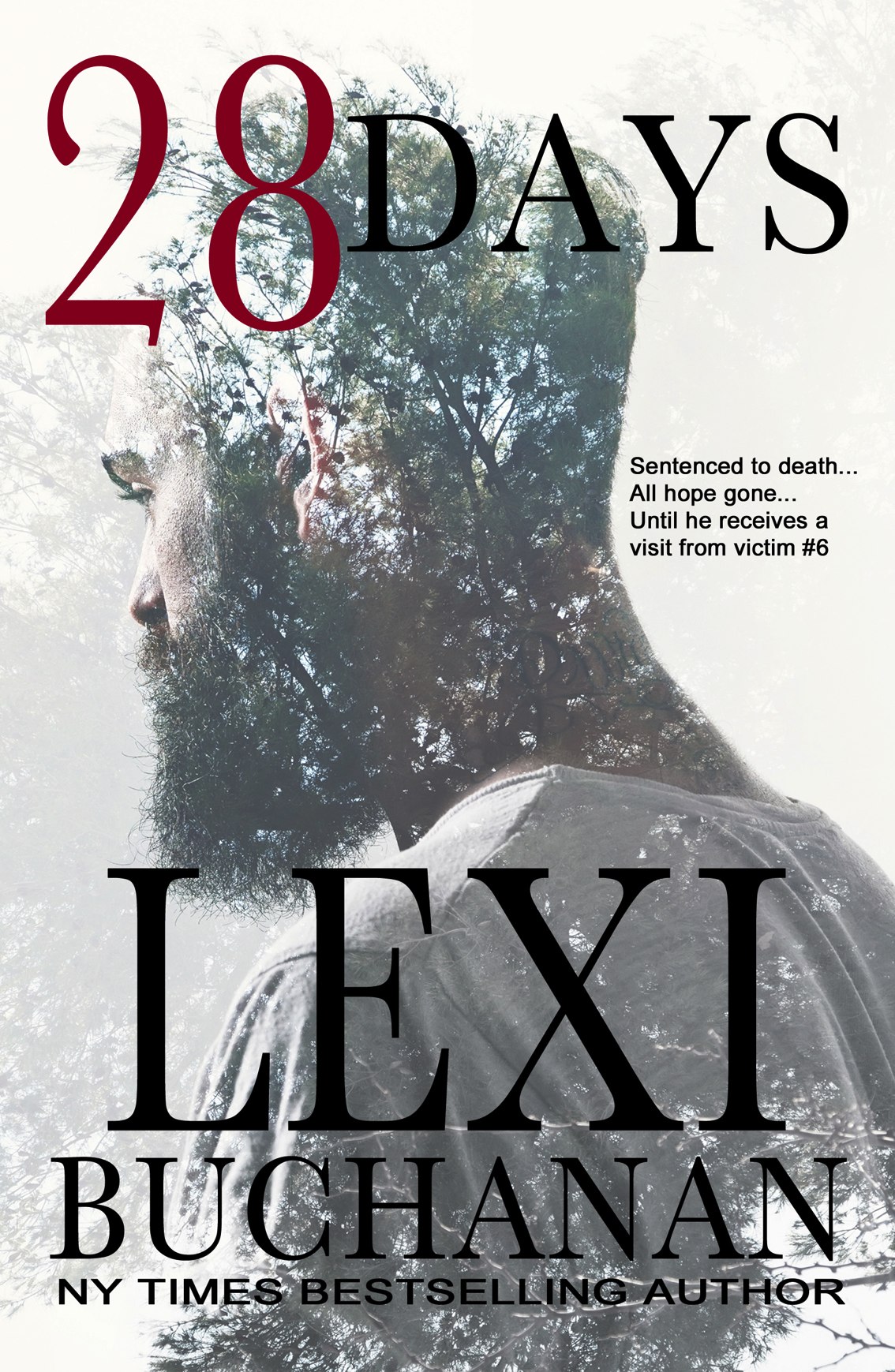 28 Days: a romantic suspense by Lexi Buchanan