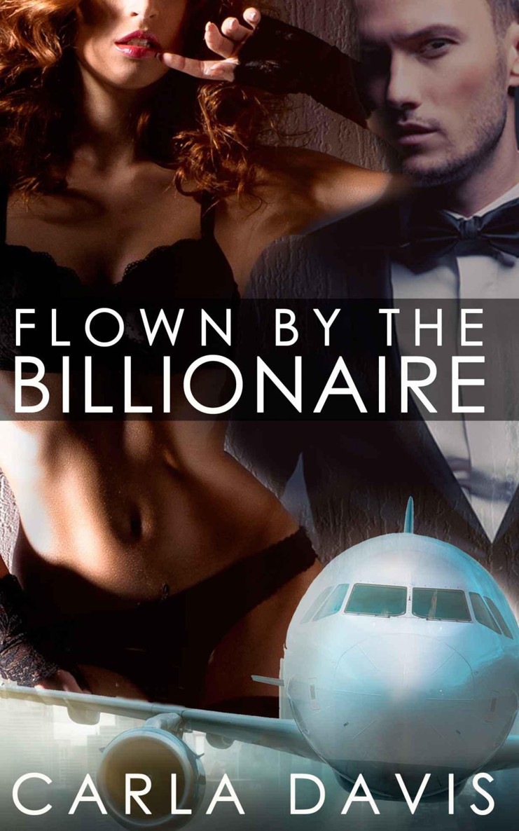 3 BOOK BUNDLE: Flown By The Billionaire I, II, & III by Davis, Carla