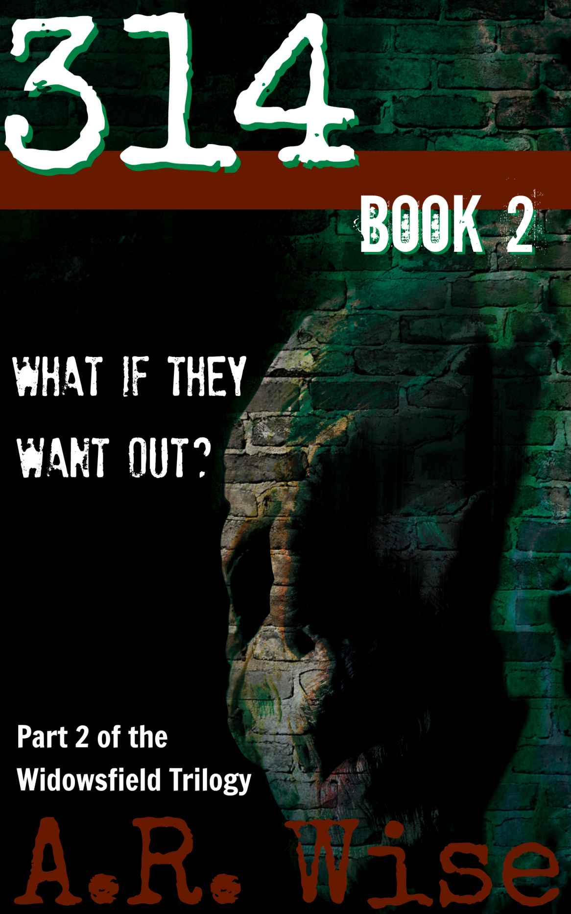 314 Book 2 by Wise, A.R.