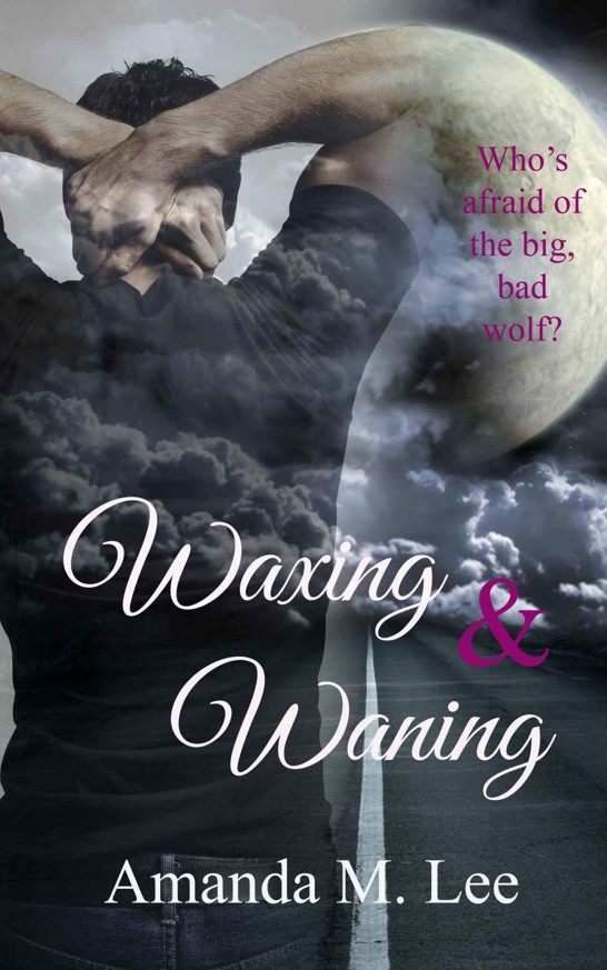 4 Waxing & Waning by Amanda M. Lee