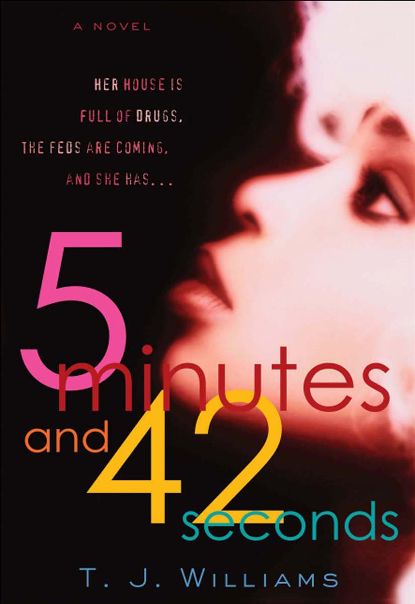 5 Minutes and 42 Seconds (2006) by Timothy Williams