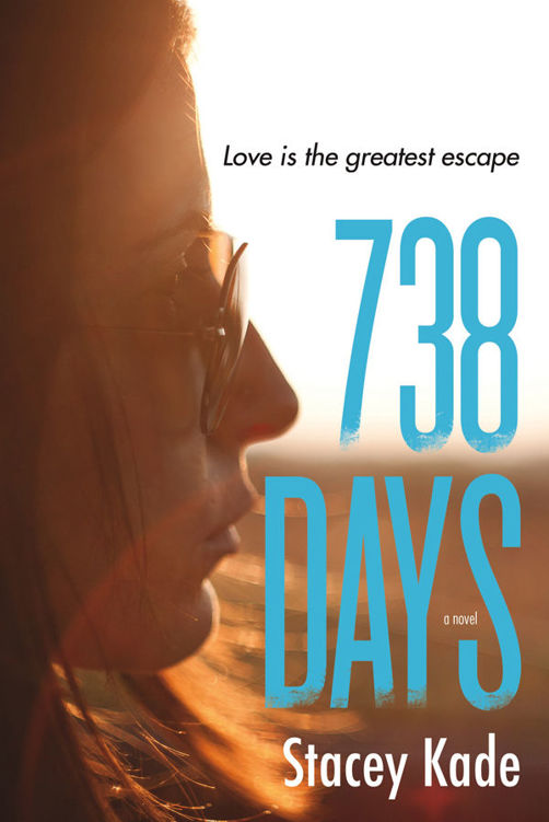 738 Days: A Novel by Stacey Kade