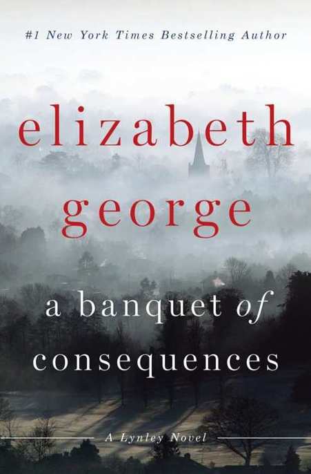 A Banquet of Consequences by Elizabeth  George