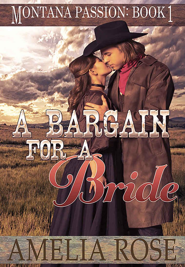 A Bargain For A Bride: Clean mail order bride romance (Montana Passion Book 1)