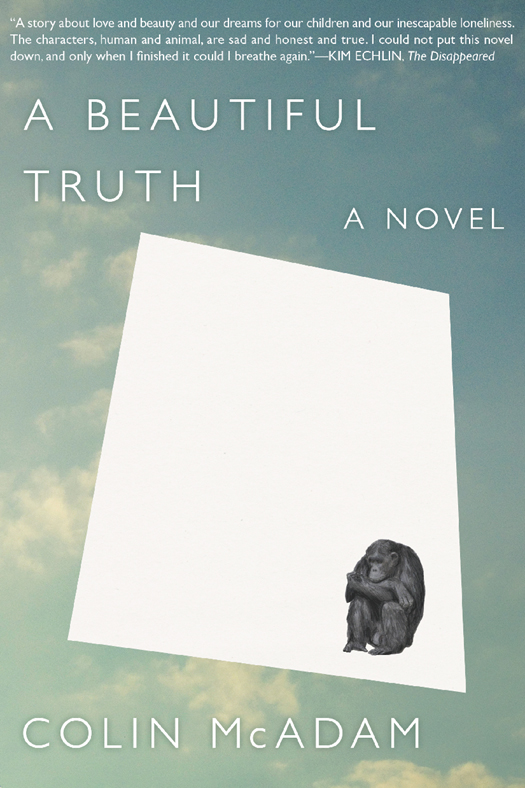 A Beautiful Truth (2013) by Colin McAdam