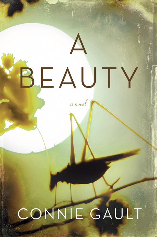 A Beauty (2015) by Connie Gault