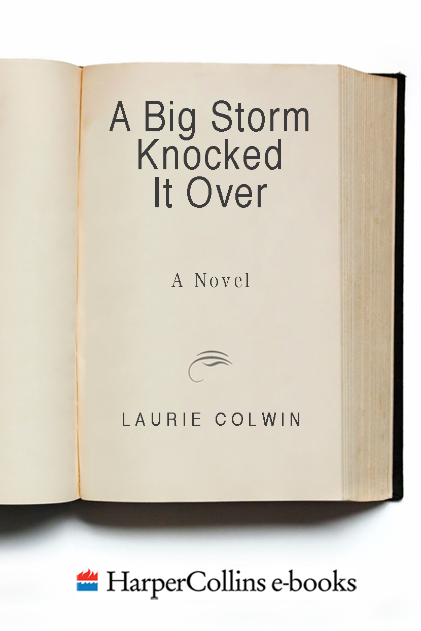 A Big Storm Knocked It Over (2015) by Laurie Colwin