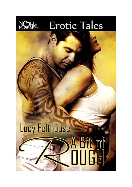 A Bit of Rough by Felthouse, Lucy