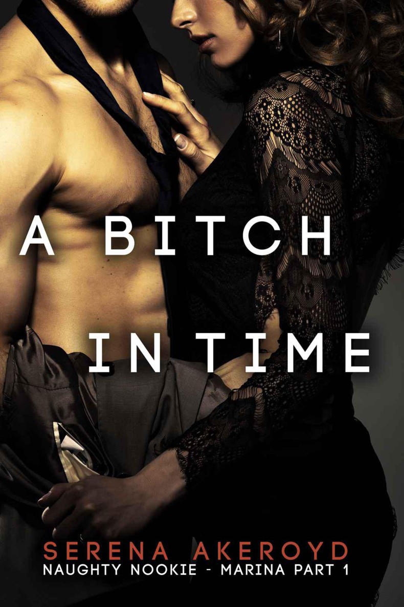 A Bitch In Time (Marina: Part One: Naughty Nookie Series) by Akeroyd, Serena