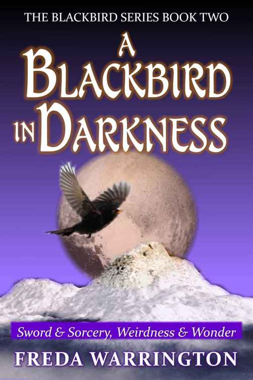 A Blackbird In Darkness (Book 2)