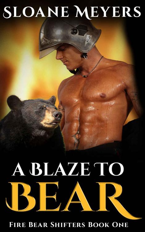 A Blaze To Bear (Fire Bear Shifters Book 1) by Sloane Meyers