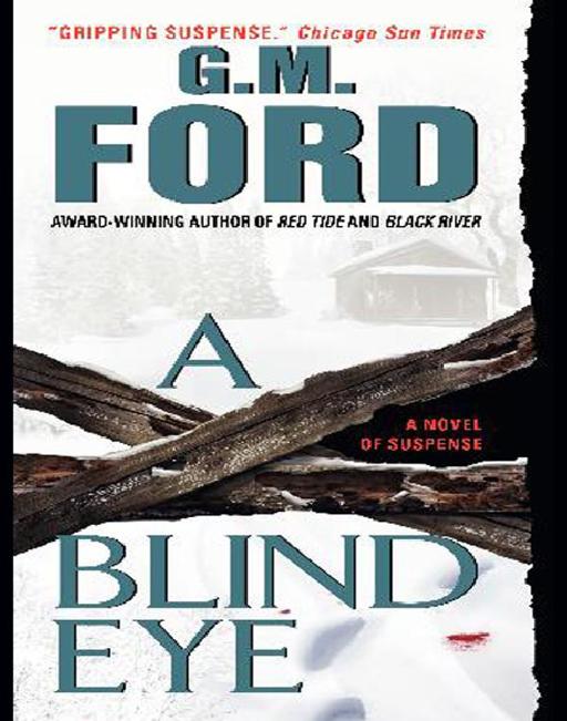 A Blind Eye by G. M. Ford