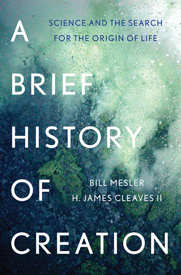 A Brief History of Creation by Bill Mesler