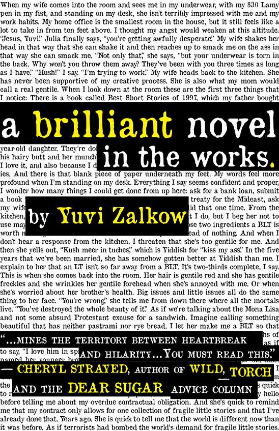 A Brilliant Novel in the Works (2012) by Yuvi Zalkow