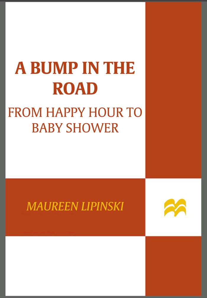 A Bump in the Road by Maureen Lipinski