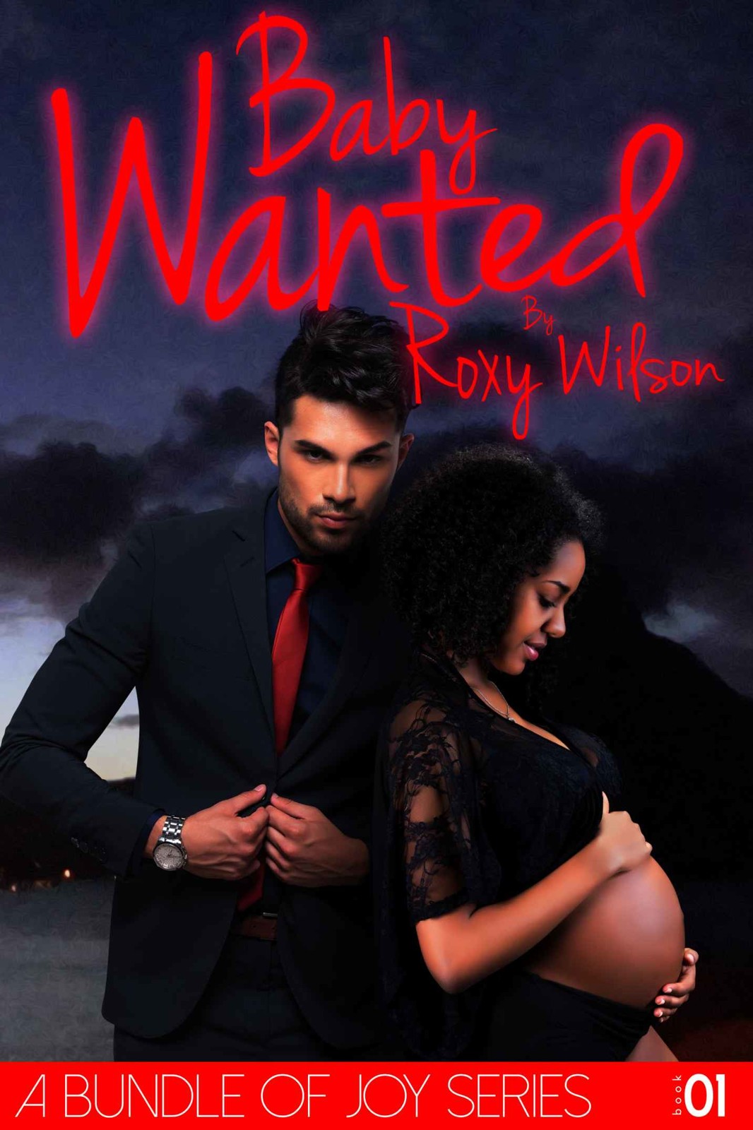 A Bundle of Joy 1: Baby Wanted (BWWM Interracial Romance) by Roxy Wilson