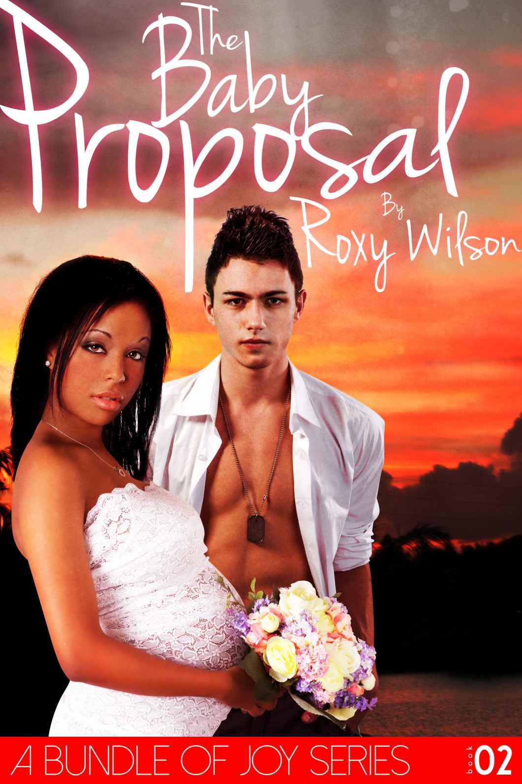 A Bundle of Joy 2: The Baby Proposal (BWWM Interracial Romance) by Roxy Wilson