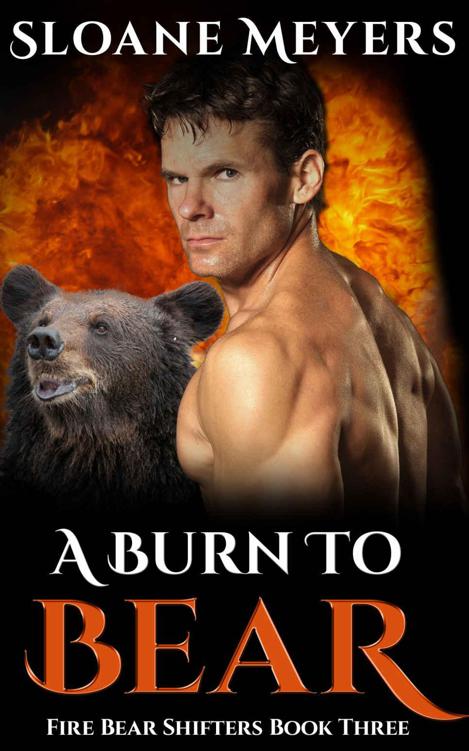 A Burn To Bear (Fire Bear Shifters Book 3) by Sloane Meyers