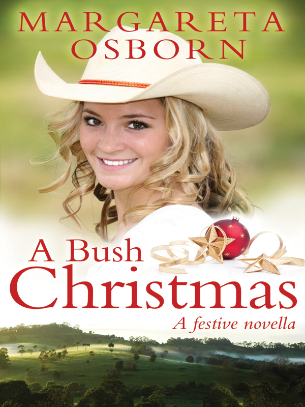 A Bush Christmas (2012) by Margareta Osborn