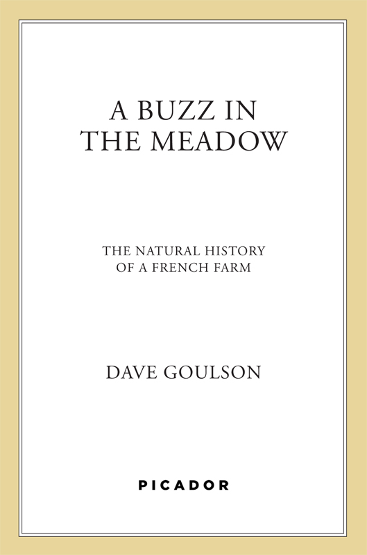 A Buzz in the Meadow by Dave Goulson