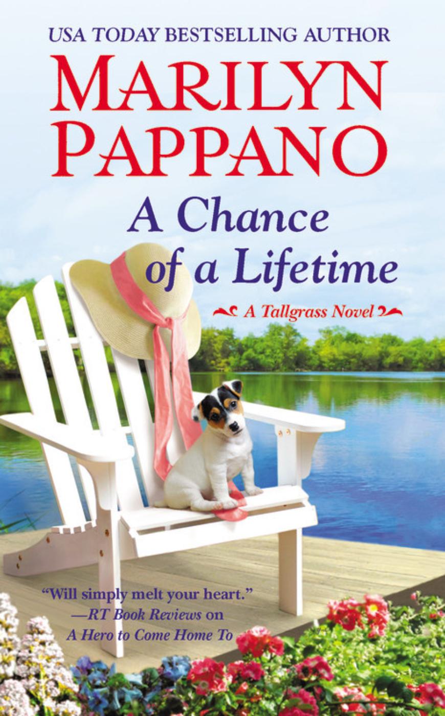 A Chance of a Lifetime (2015) by Marilyn Pappano