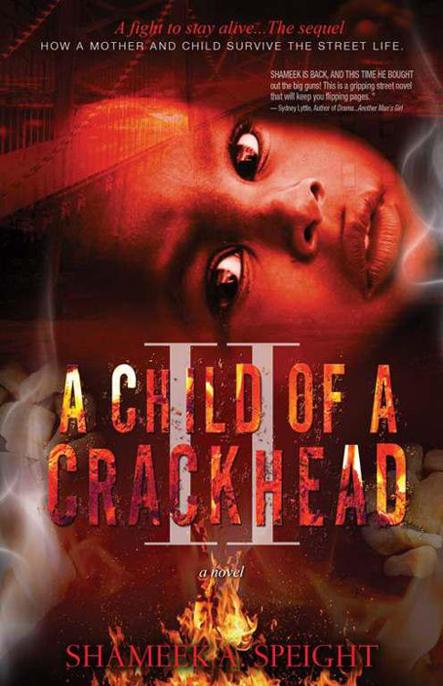 A Child of a CRACKHEAD II