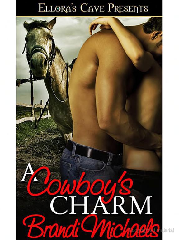 A Cowboy's Charm by Brandi Michaels