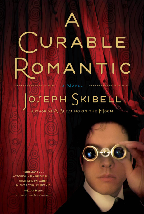 A Curable Romantic by Joseph Skibell