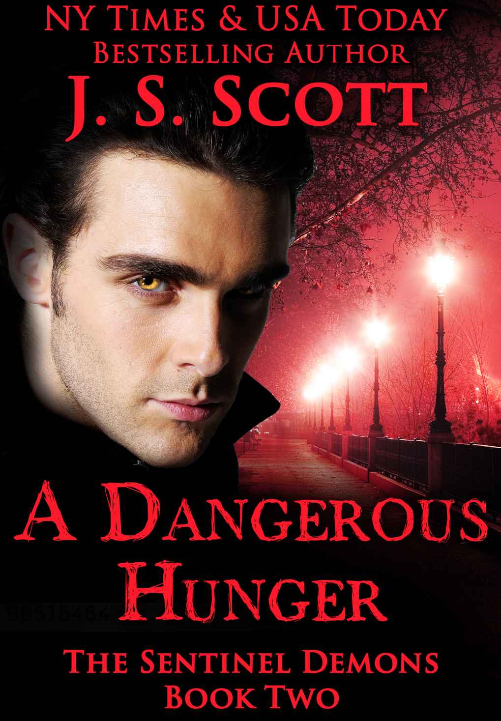 A Dangerous Hunger: (The Sentinel Demons) by Scott, J. S.