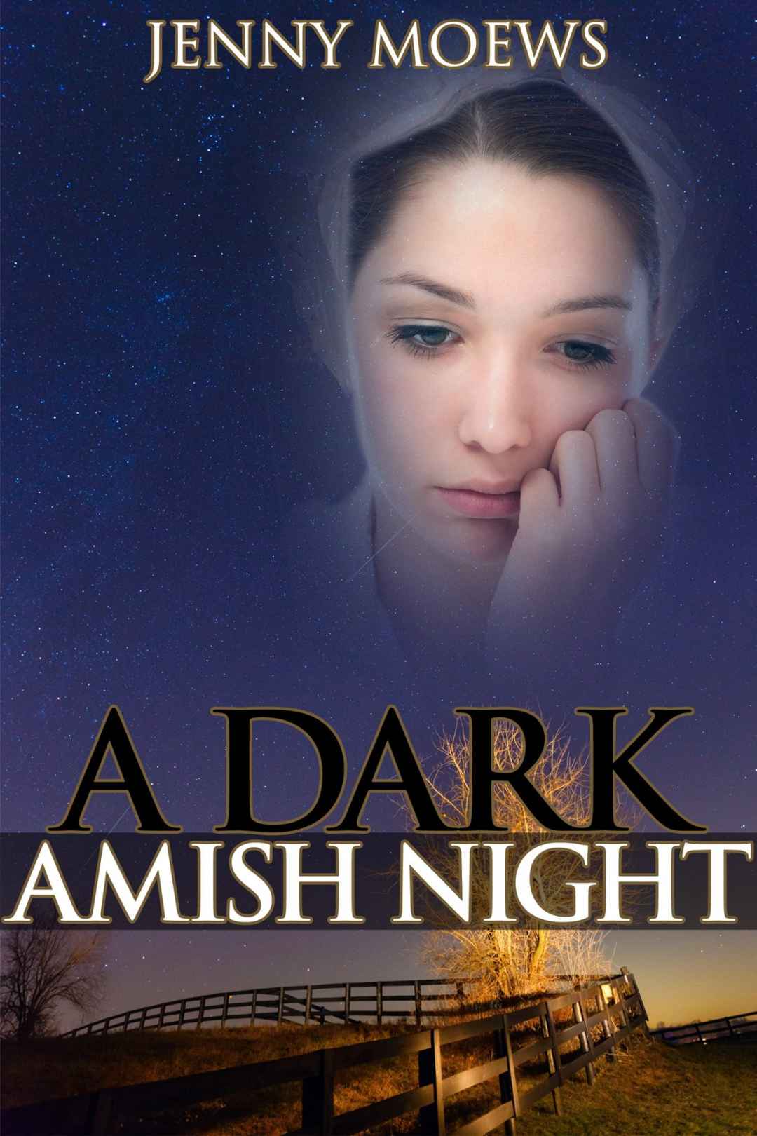 A Dark Amish Night by Jenny Moews