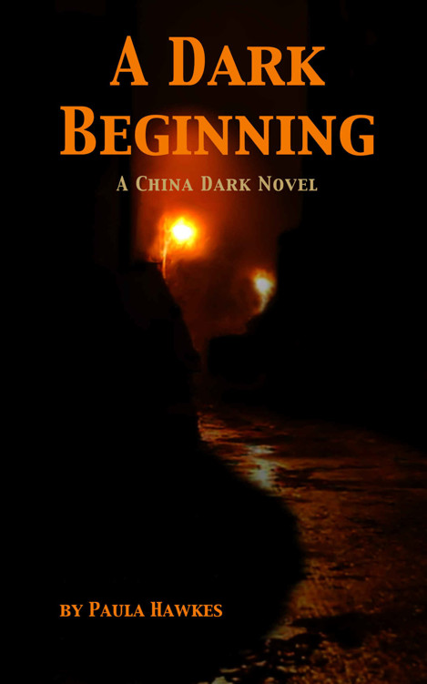 A Dark Beginning: A China Dark Novel by Paula Hawkes