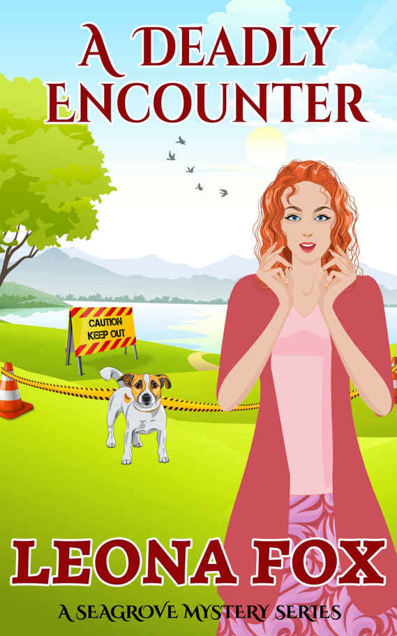 A Deadly Encounter (A Seagrove Cozy Mystery Book 3)