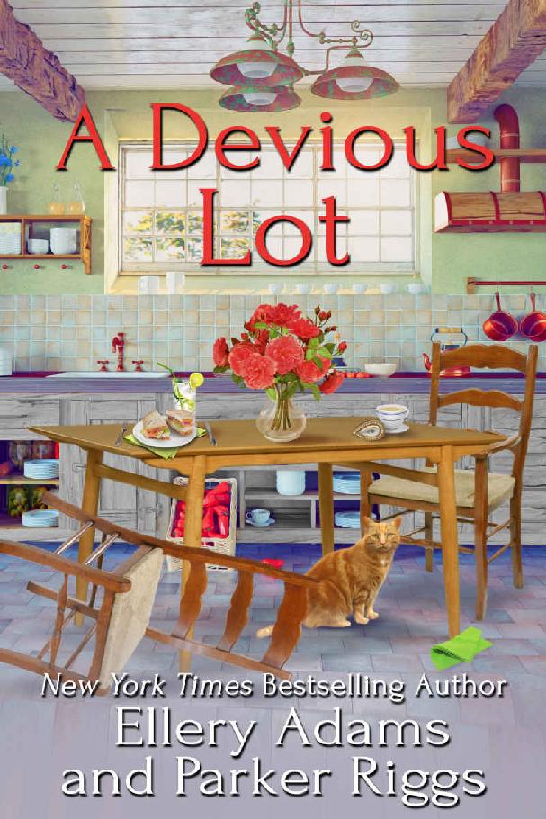 A Devious Lot (Antiques & Collectibles Mysteries Book 5) by Ellery Adams