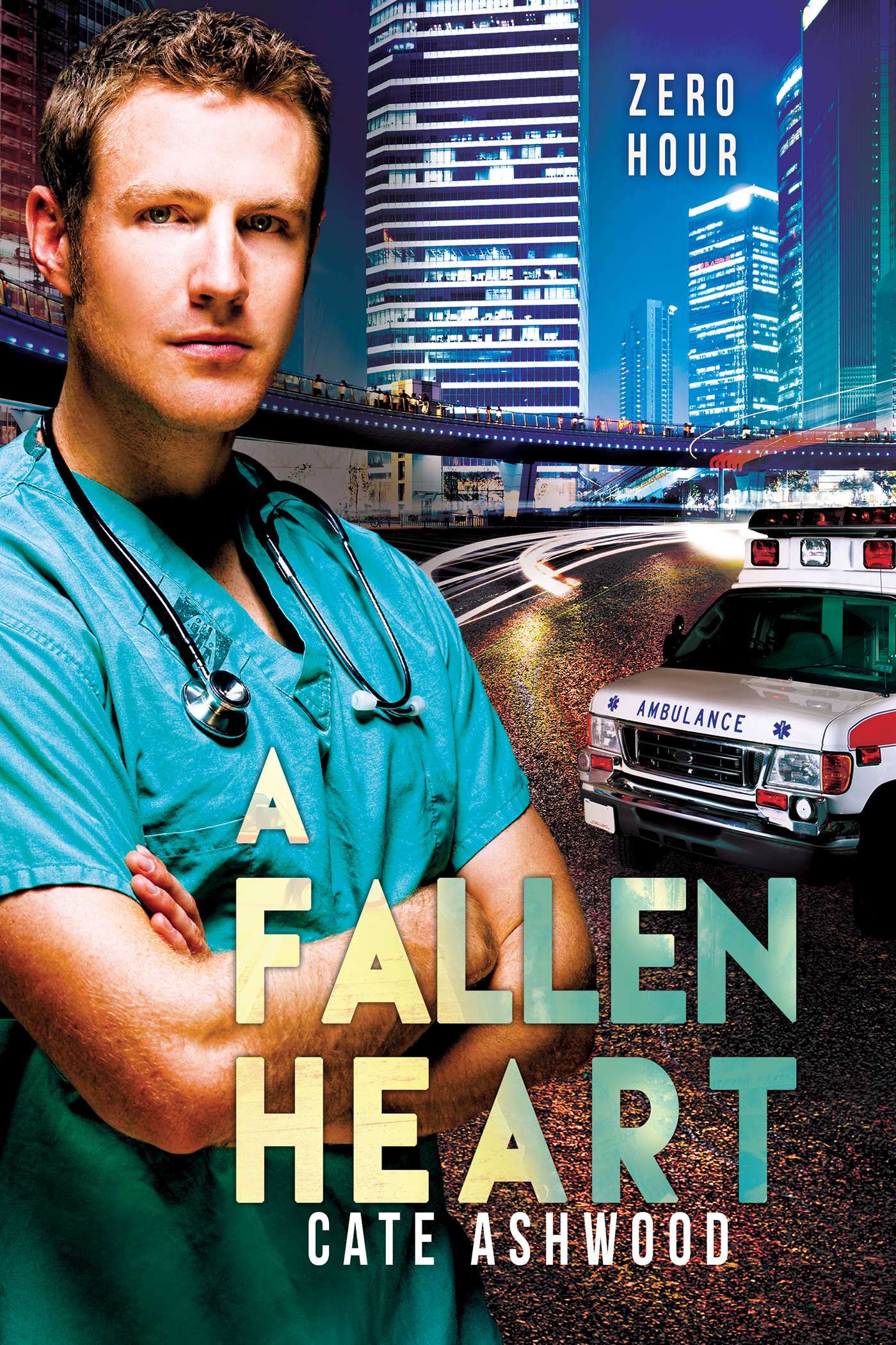 A Fallen Heart (2016) by Cate Ashwood