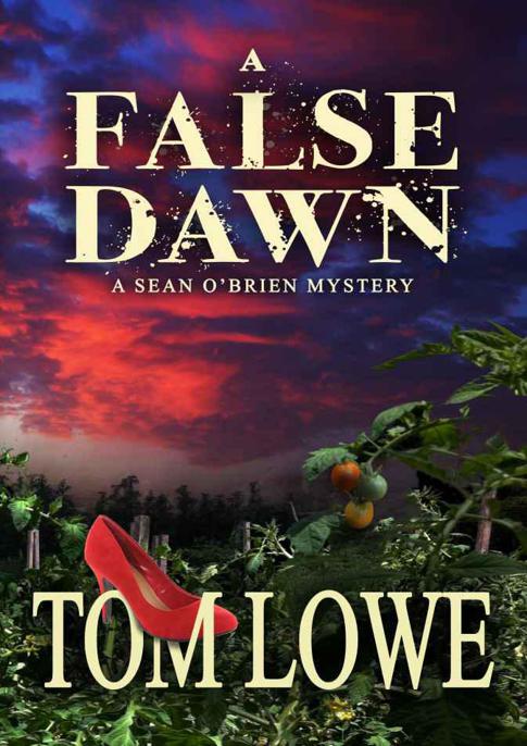 A False Dawn by Tom Lowe