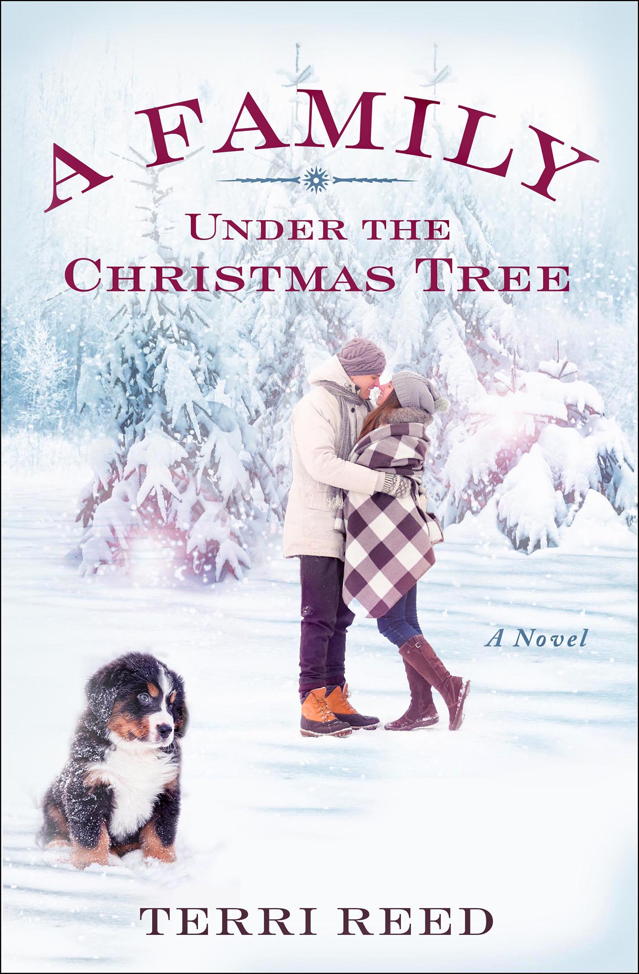 A Family Under the Christmas Tree by Terri Reed