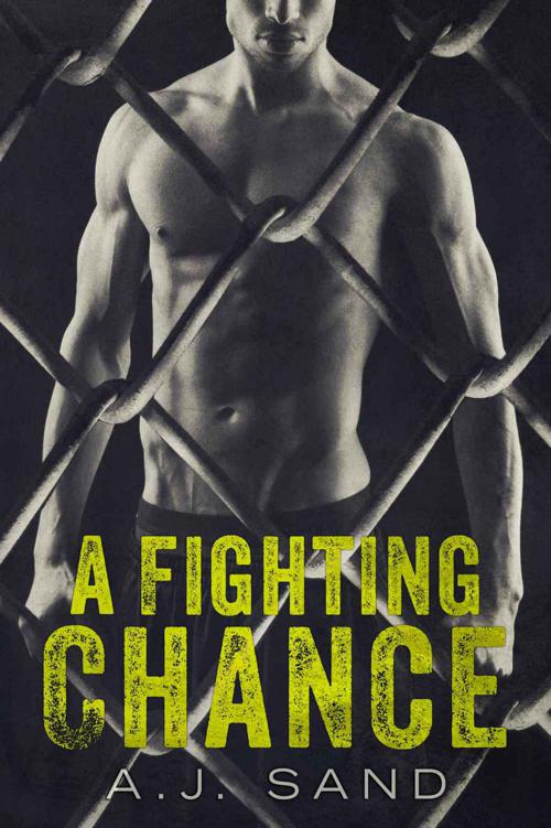 A Fighting Chance by Sand, A.J.