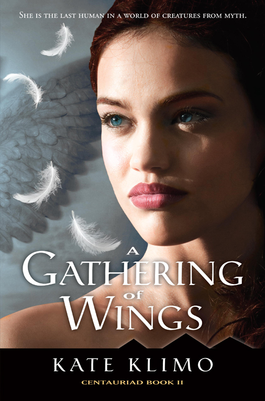 A Gathering of Wings (2013)