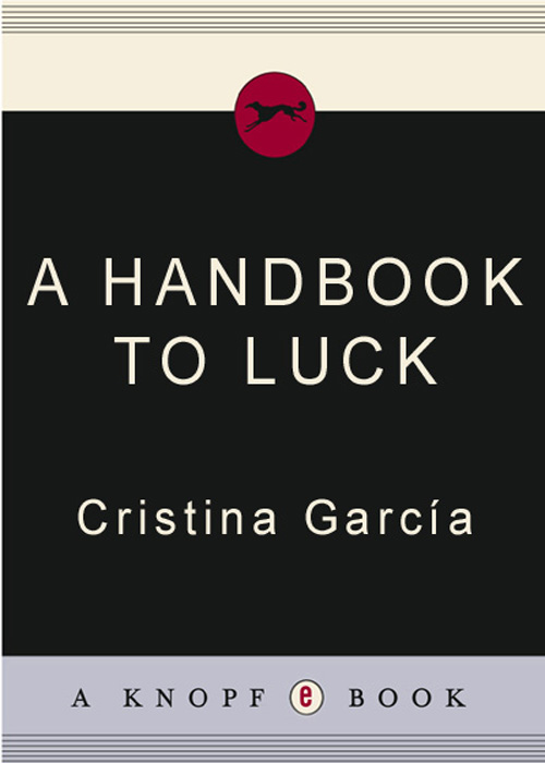 A Handbook to Luck (2007) by Cristina Garcia