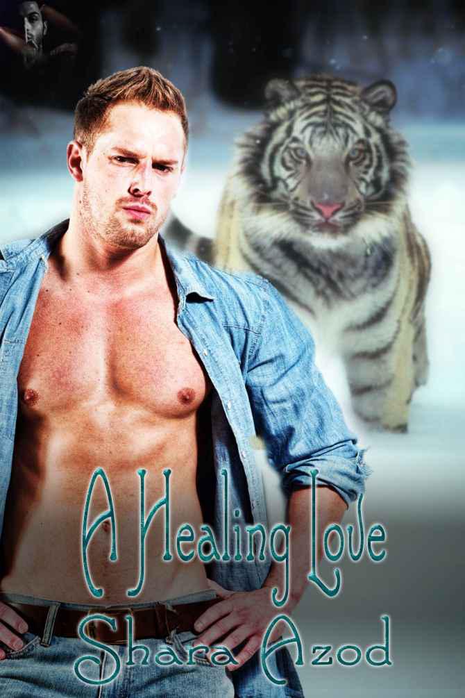 A Healing Love by Shara Azod