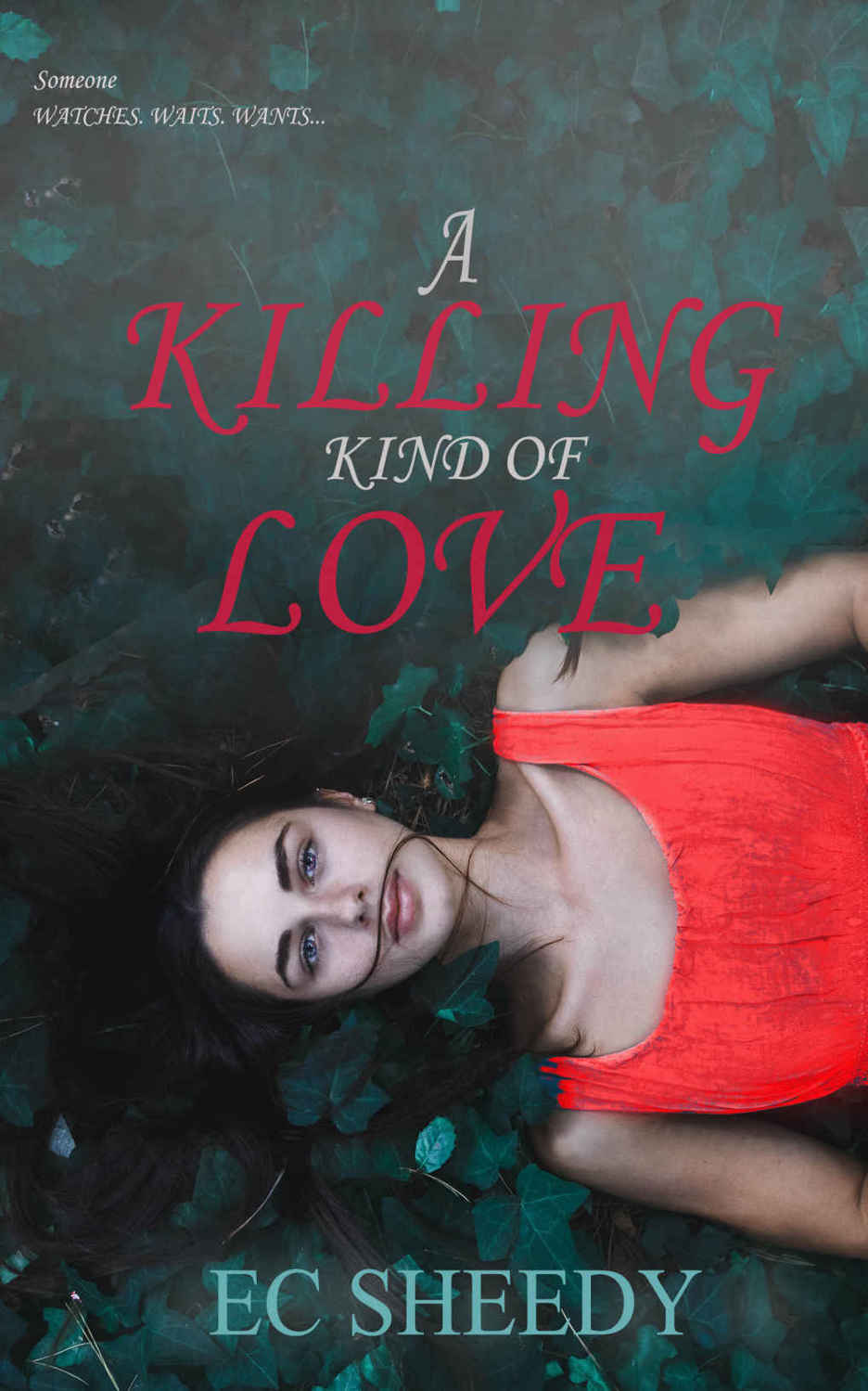 A Killing Kind of Love: A Dark, Standalone Romantic Suspense