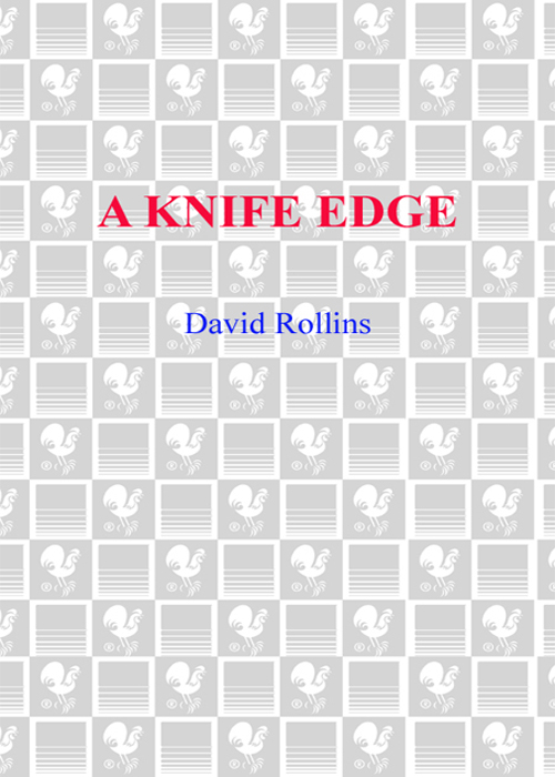 A Knife Edge (2006) by David Rollins