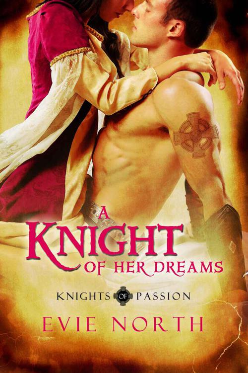 A Knight Of Her Dreams (Knights of Passion) by North, Evie