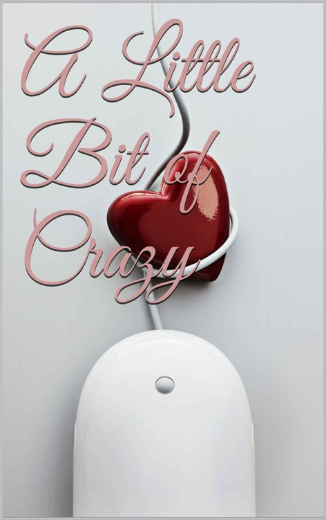 A Little Bit of Crazy (Little Bits) by Murphy, A. E.