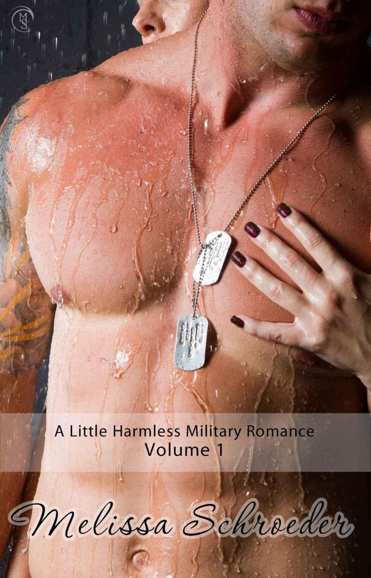 A Little Harmless Military Romance Bundle (A Little Harmless Military Bundle) by Schroeder, Melissa